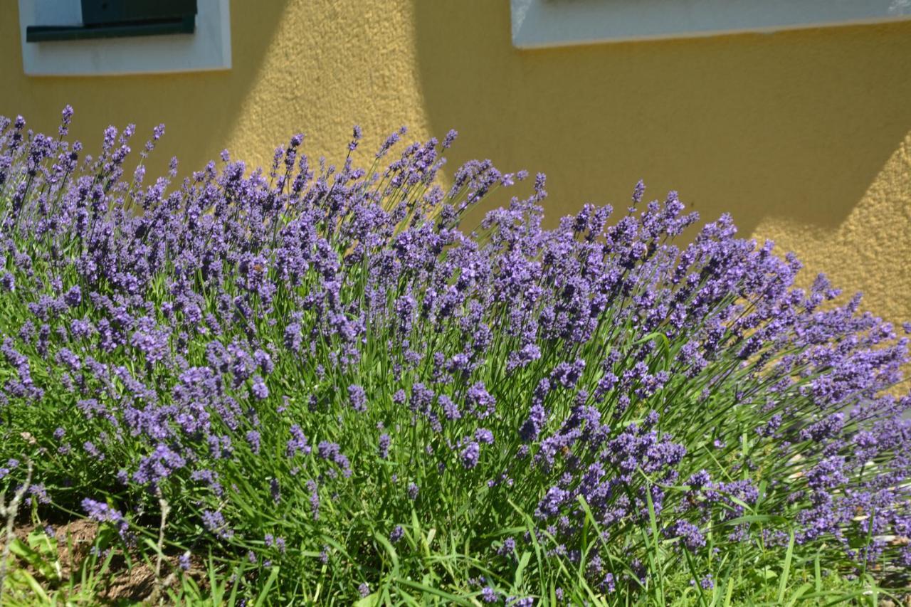 Wastlhof Am Kreischberg Apartment